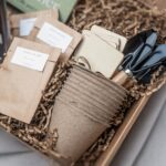 Seeds of Joy - Image 2